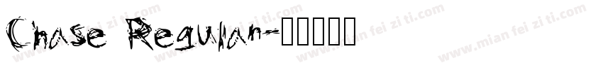 Chase Regular字体转换
